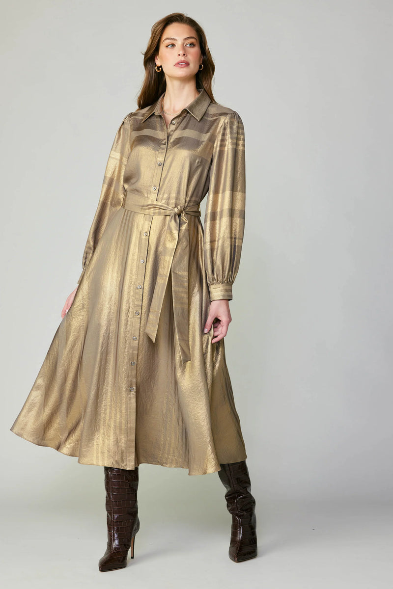 Metallic Shirt Dress