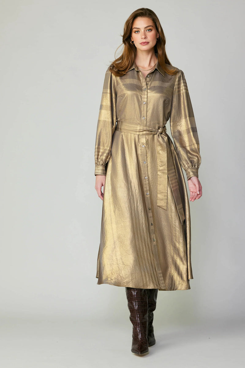 Metallic Shirt Dress