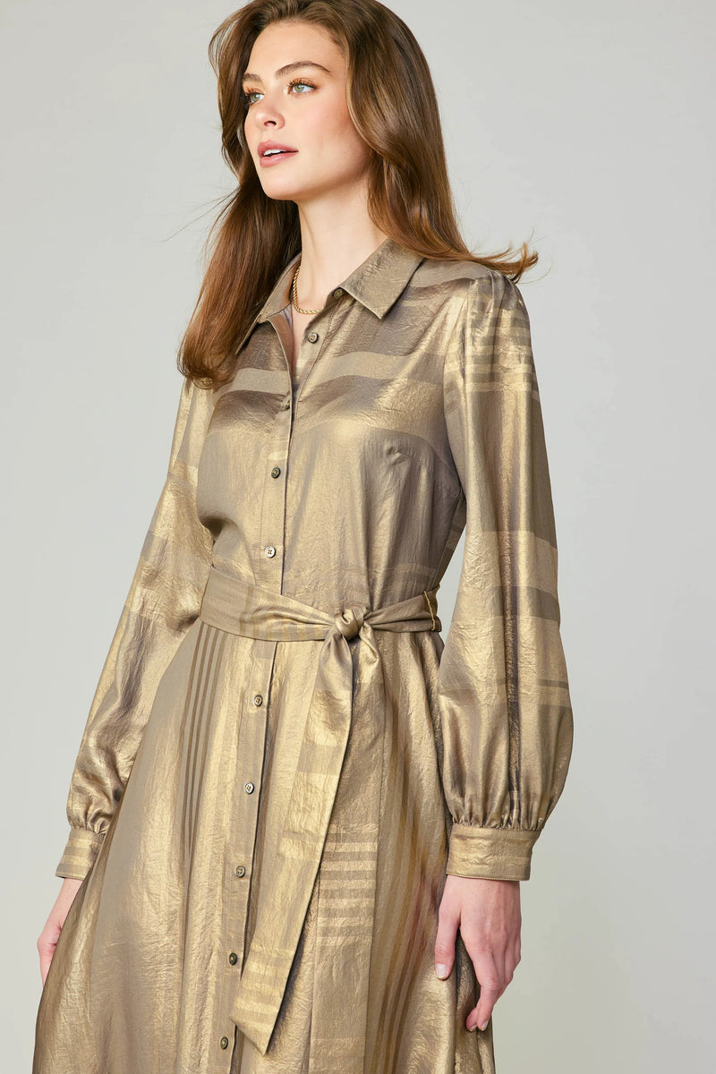 Metallic Shirt Dress